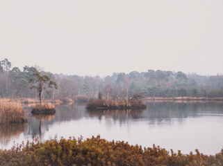 Foggy forest pond with small islands and autumn colors | Landscape photography, The Netherlands