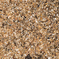 The pattern small brown pebbles stone as background. pebbles texture wall and floor.