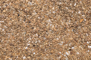 The pattern small brown pebbles stone as background. pebbles texture wall and floor.