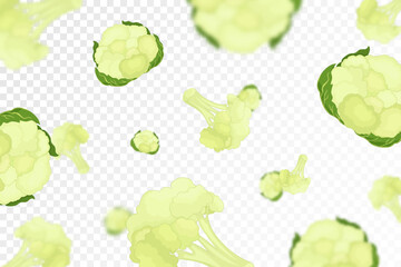Cauliflower background. Flying fresh cauliflower on transparent background. Flat design. Falling cauliflower, isolated vegetables. Nature product. Vector illustration