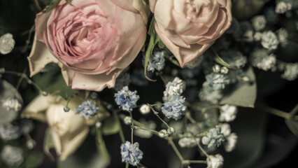 bouquet of pink roses