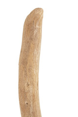 Part of driftwood isolated on white