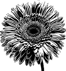 Hand-drawn flower illustration
