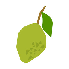 Lime on a branch with a leaf. Fresh fruit illustration isolated on white background. For labels, advertising, postcards, textiles and packaging.