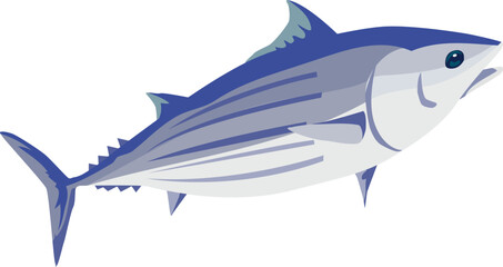 カツオのイラスト