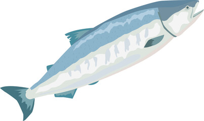 鮭のイラスト