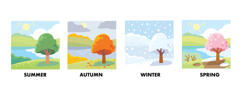 Four seasons icon set. Tree in four times of year spring, summer, fall and winter vector illustration. 4 graphic element representing winter, spring, summer, autumn with green, yellow, orange leaves.