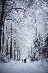 Waldspaziergang im Schnee mit drei Personen