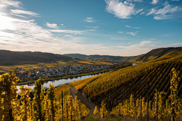 Mosellandschaft im Herbst n&auml;he Bernkastel