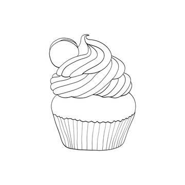 Cupcake with chocolate chip biscuits. Painted lines on a white background.  Coloring page. Vector sketch