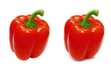 パプリカのリアルなイラスト