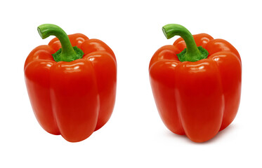 パプリカ イラスト リアル