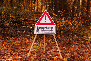 Forstarbeiten im Wald