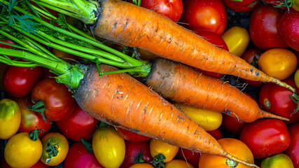 tomatoes, carrots on the table.Carrots, tomatoes just picked in the garden on wooden boards. carrots & tomatoes.