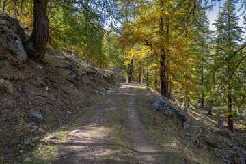Fototapeta premium Autumn in Partias Nature Park near Puy-Saint-Andre, not far from Briancon, France