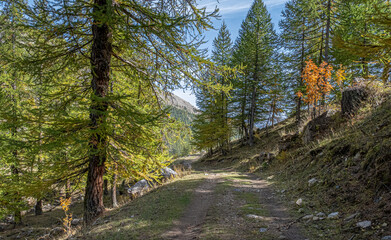 Autumn in Partias Nature Park near Puy-Saint-Andre, not far from Briancon, France