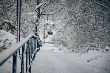 snow covered road