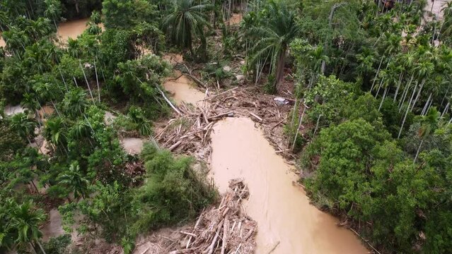 Aerial view tree bark and car is removed during flash flood