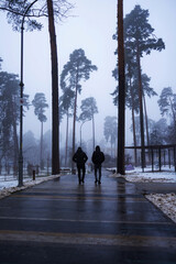 People walking in foggy and snowy forest. 