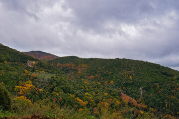Greece, Mount Pelion, Natura 2000 area, wonderful autumn landscape, with autumn colors