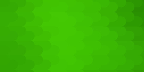 Light Green vector background with lines.