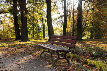 Picturesque view of park with beautiful trees and bench. Autumn season