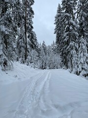 Der Winterwanderweg im Sankenbachtal ist an dieser Stelle nicht mehr präpariert. Es liegt dick...
