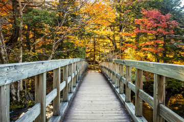 Naklejka na ściany i meble Scenic view of Yunoko lake bridge at fall with colorful trees