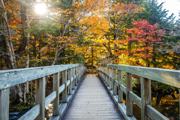 Fototapeta na wymiar Scenic view of Yunoko lake bridge at fall with colorful trees