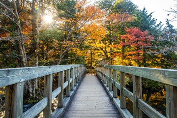 Fototapeta na wymiar Scenic view of Yunoko lake bridge at fall with colorful trees