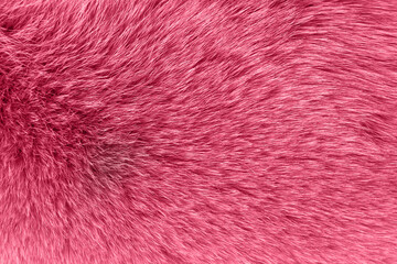 Close up texture of viva magenta fur abstract background