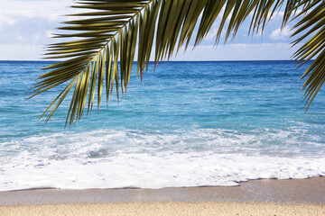 Fototapeta premium Waves in the sea or ocean.sandy beach under a palm tree on a sunny day. High quality photo