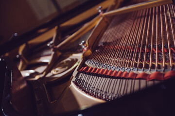 Inside of the Piano