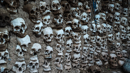 Full Frame Shot Of Human Skull And Bones Mounted On Wall At Tibet, China