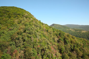 Picturesque view of forest in mountains under beautiful sky