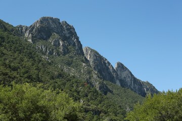 Picturesque view of high mountains and trees