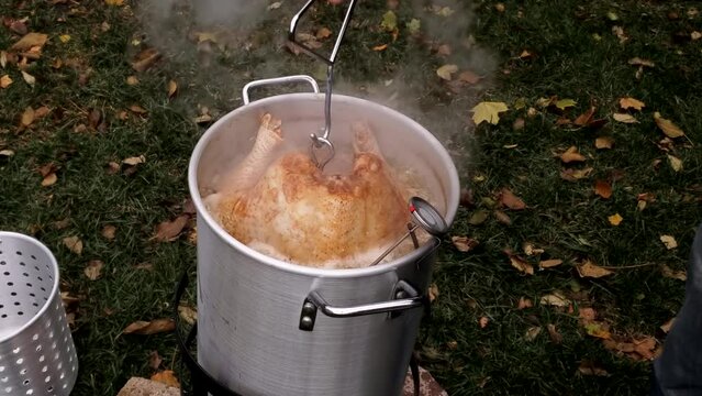 Checking large turkey being deep fried in peanut and soy oil blend in large pot at back yard.