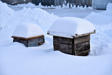 Wooden boxes to protect flowers under the snow. Boxes in snowdrifts in winter.