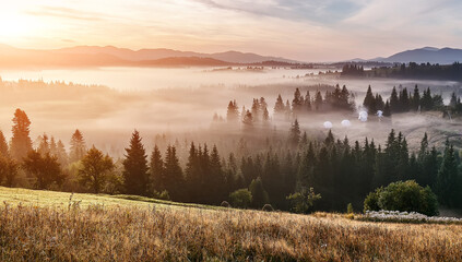 Amazing nature scenery. Atmospheric foggy mountain landscape. Incredible morning landscape with highlands and foggy valley with vibrant colorful sky in Carpathian mountains. Instagram filter,