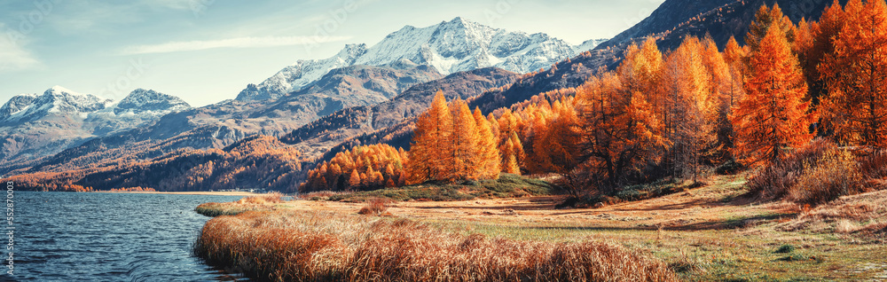 Fototapete Amazing natural autumn scenery.  Panoramic view of beautiful mountain landscape in Alps with Lake Sils, concept of an ideal resting place. Lake Sils one of the most beautiful lake of the Swiss Alps