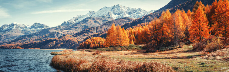 Amazing natural autumn scenery.  Panoramic view of beautiful mountain landscape in Alps with Lake Sils, concept of an ideal resting place. Lake Sils one of the most beautiful lake of the Swiss Alps - Powered by Adobe