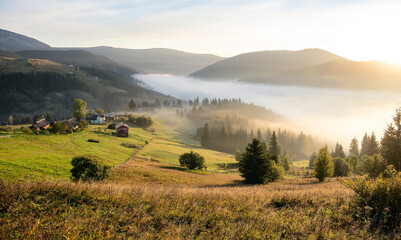 Fototapeta na wymiar Beautiful vivid scene in the mountains. highland meadow under morning light. Amazing countryside landscape with valley in fog behind the forest on the grassy hill. Carpathian mountains. Ukraine.