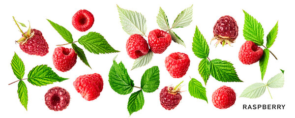 Different raspberry fruits and leaves set. PNG with transparent background. Flat lay. Without shadow.