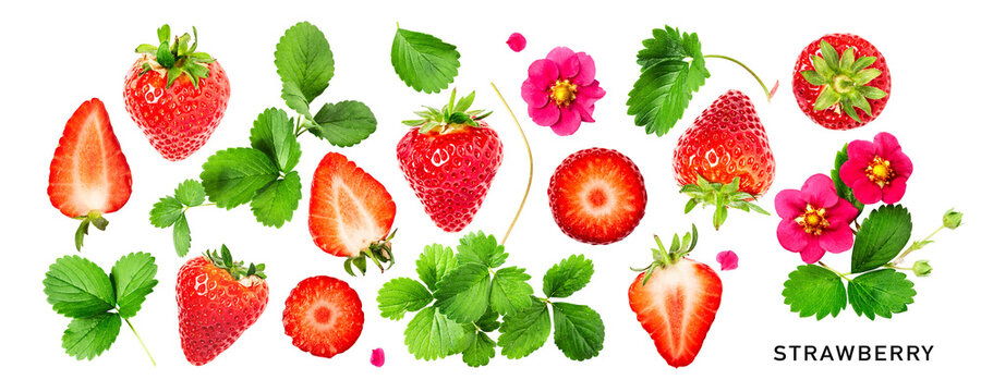 Different strawberry fruits and leaves set. PNG with transparent background. Flat lay. Without shadow.