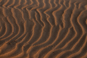 Textura de ondas en la arena de las dunas
