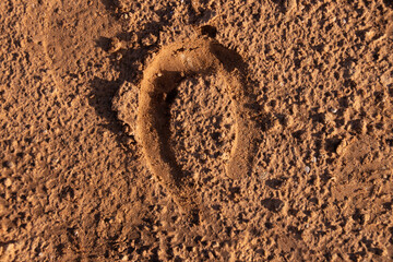 Textura de huella de herradura de caballo en la tierra dorada