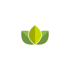 lLtus logo,Design lotus flower 