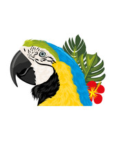 Macaw parrot and tropical leaves