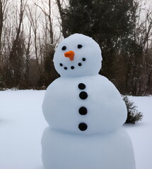 Obraz premium Realistic illustration of snowman outdoors, generative ai