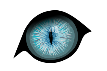 Fantasy eye. Iris pupils design. Cat or snake eyes. Colorful PNG illustration.